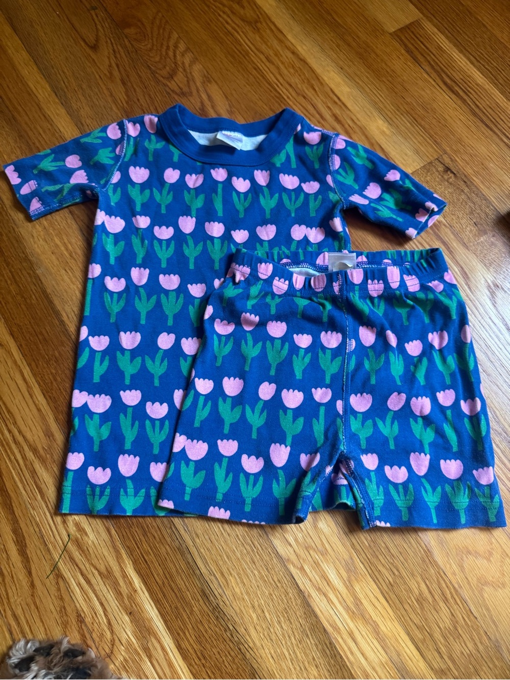 Hanna Andersson Blue Tulip Print Kids Pajama Set with Pink & Green Flowers